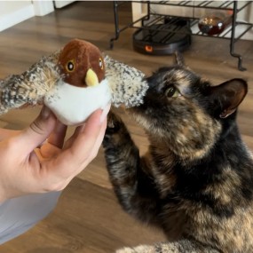 Catnip Toy Factory - Bite Resistant Pillow Toy