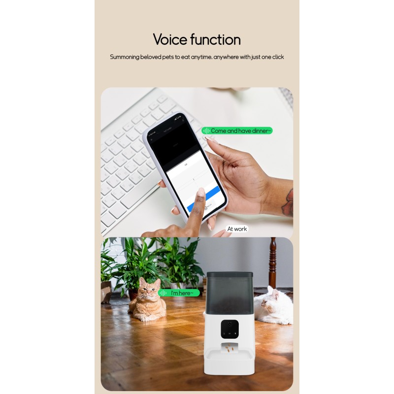 Automatic Cat Feeder Manufacturer - Wholesale WIFI Camera Feeder