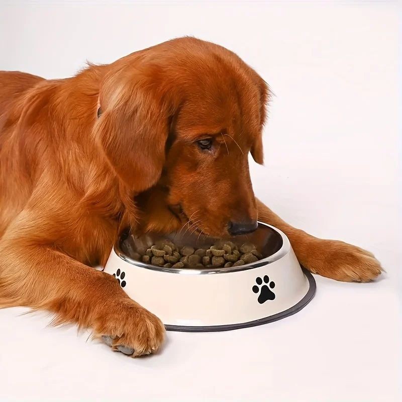 Ceramic Pet Bowl Factory - Wholesale Automatic Water Bowl