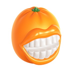 Cat Toy Manufacturer - OEM Interactive Bell Teaser