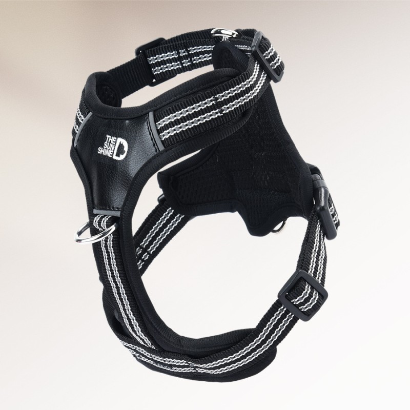 Dog Leash Manufacturer - Explosion-proof Padded Chest Strap