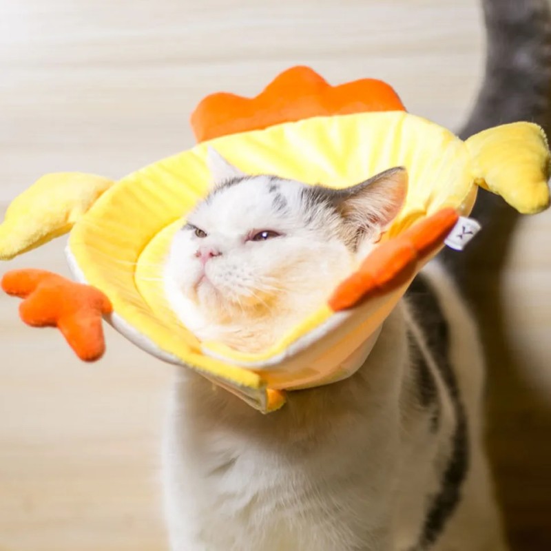 Pet Leash Manufacturer - 5M Retractable Dog Leash