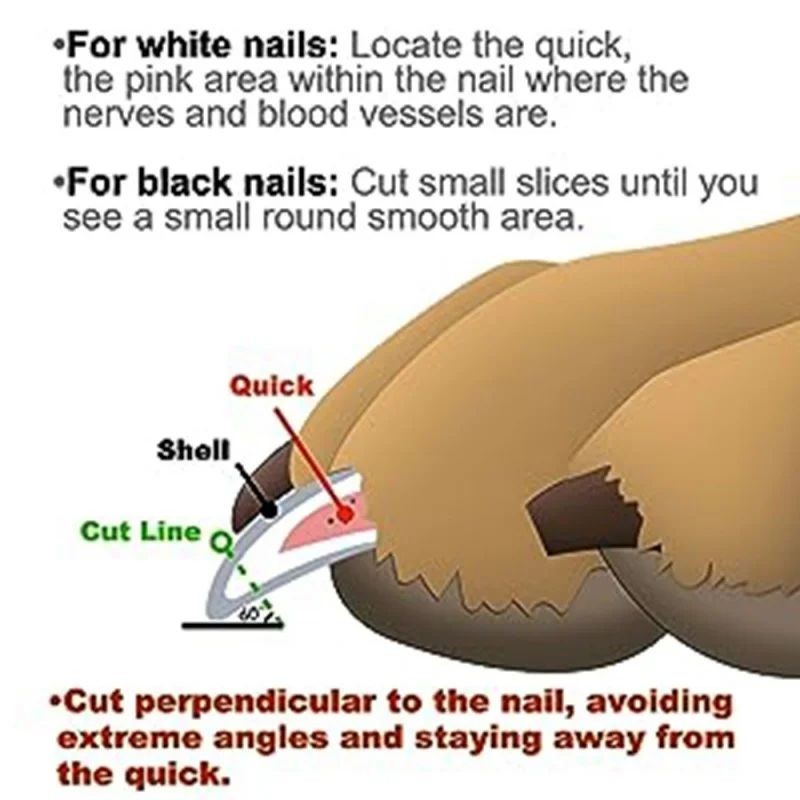 Dog Nail Clippers Factory - LED Light Claw Trimmers