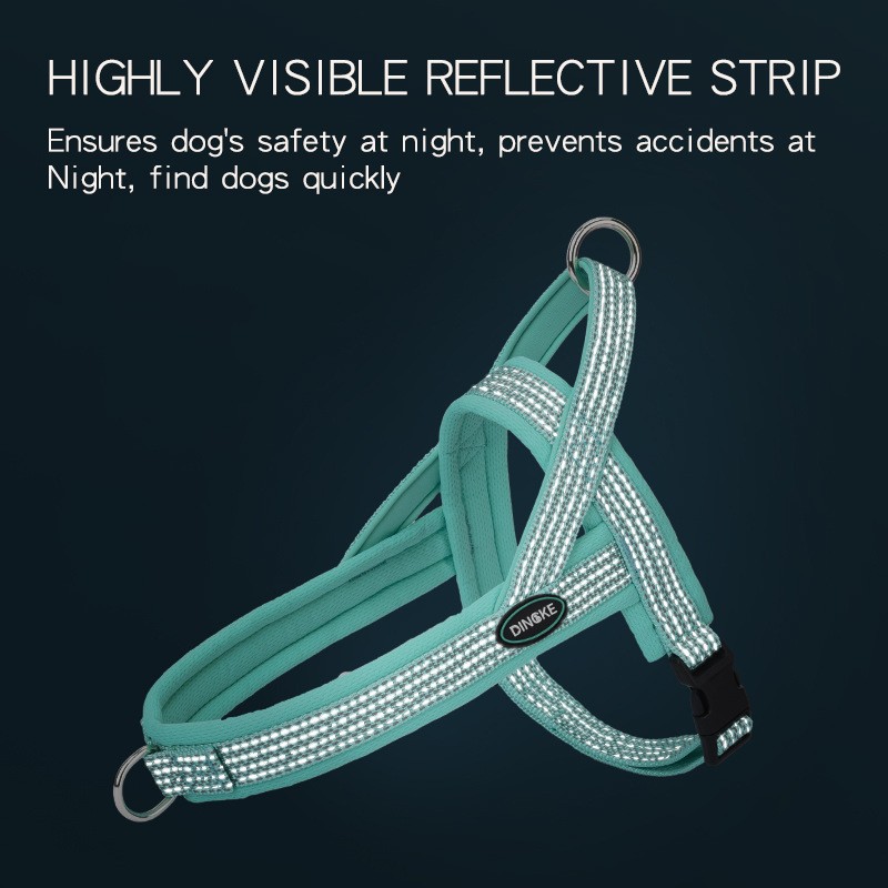 Dog Leash Factory - Sturdy Polyester Padded Leash