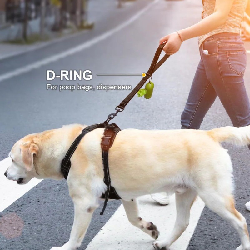 Dog Leash Factory - OEM Reflective Nylon Training Leash