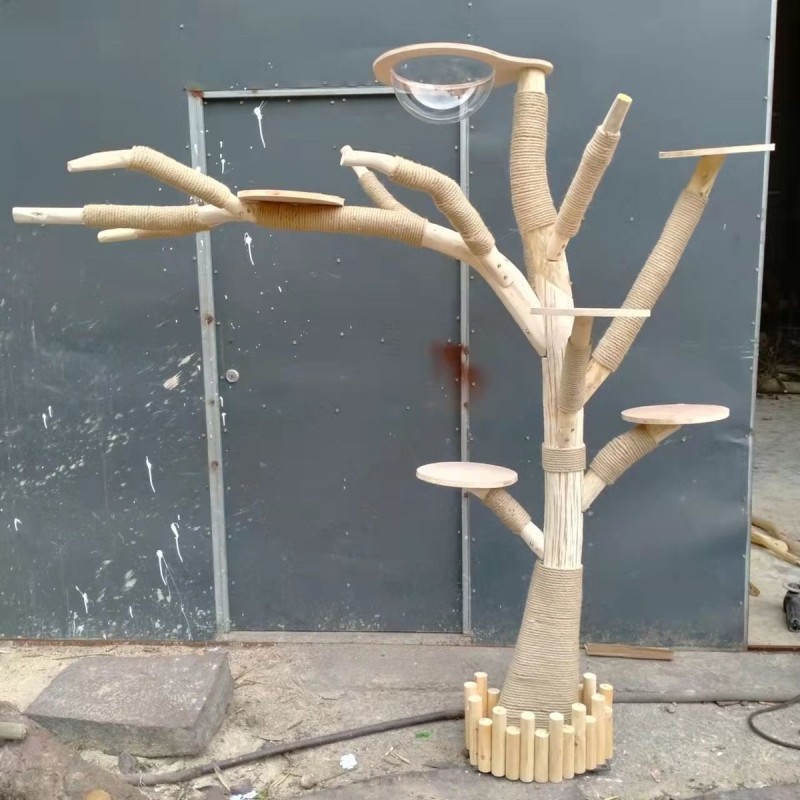 Pet Harness Set Factory - Wholesale 5-piece Accessory Set