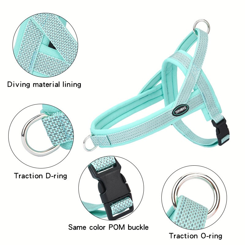 Dog Leash Factory - Sturdy Polyester Padded Leash