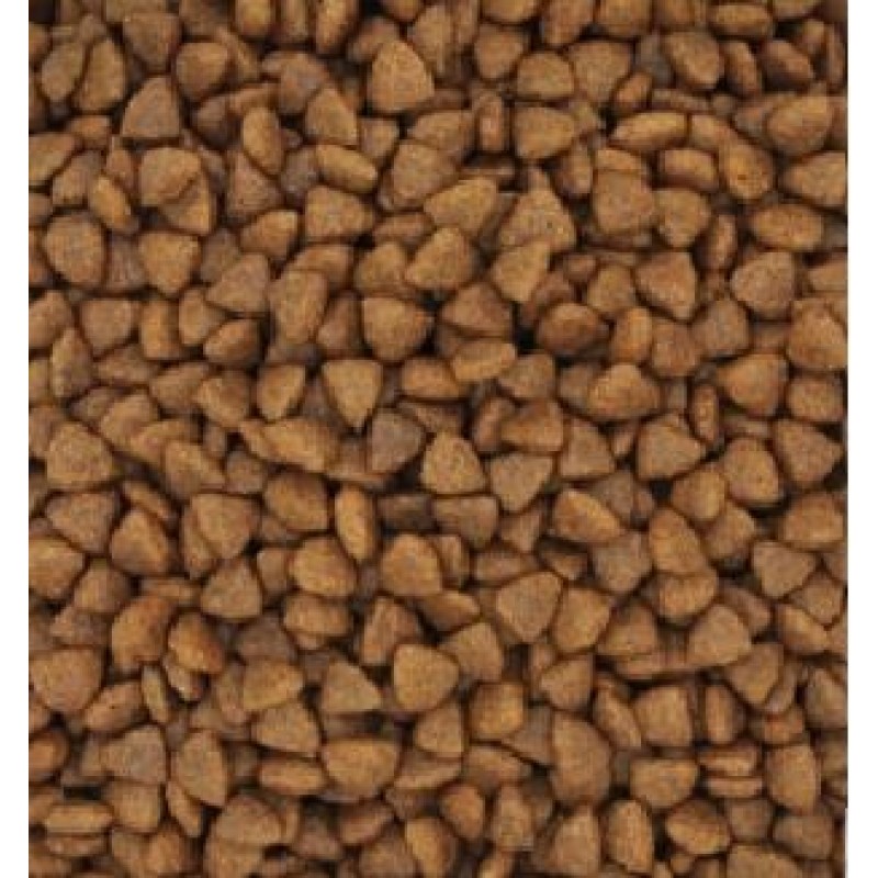 Dog Shoes Manufacturer - Small Dog Soft Sole Shoes