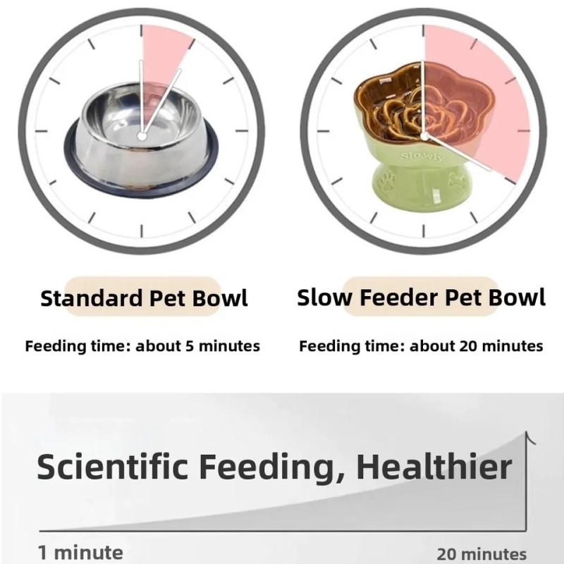 Pet Feeder Manufacturer - Automatic Eco-Friendly Dispenser