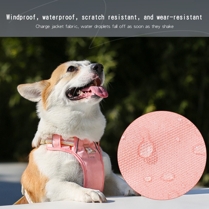 Dog Harness Manufacturer - Padded Vest Leash XL Size