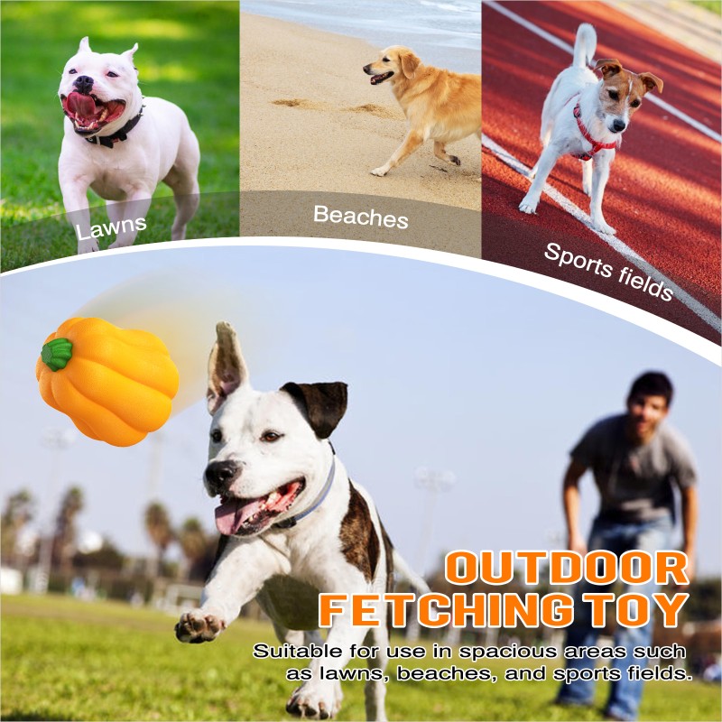 Dog Chew Toy Manufacturer - ODM Indestructible Squeaky Ball