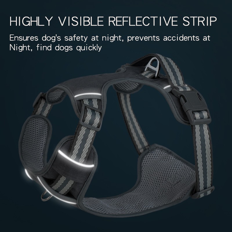 Dog Harness Manufacturer - Padded Vest Leash XL Size