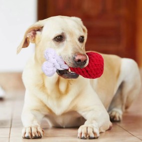 Dog Toy Manufacturer - Wholesale Knot Teeth Cleaning Toy