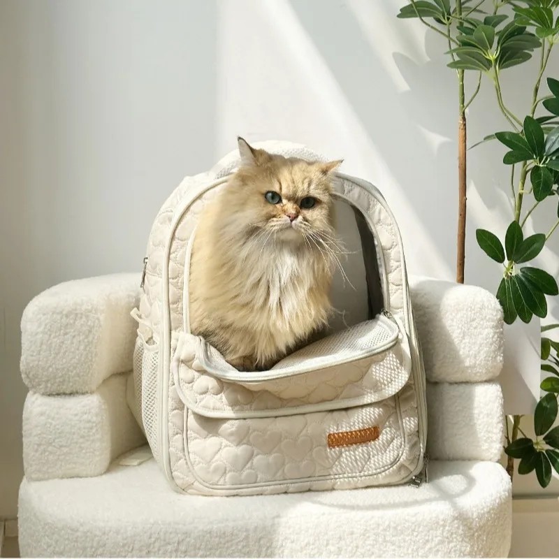 Ceramic Pet Bowl Manufacturer - Creative Multi-Use Basin