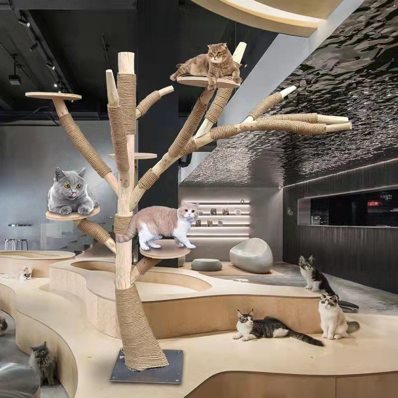 Pet Harness Set Factory - Wholesale 5-piece Accessory Set