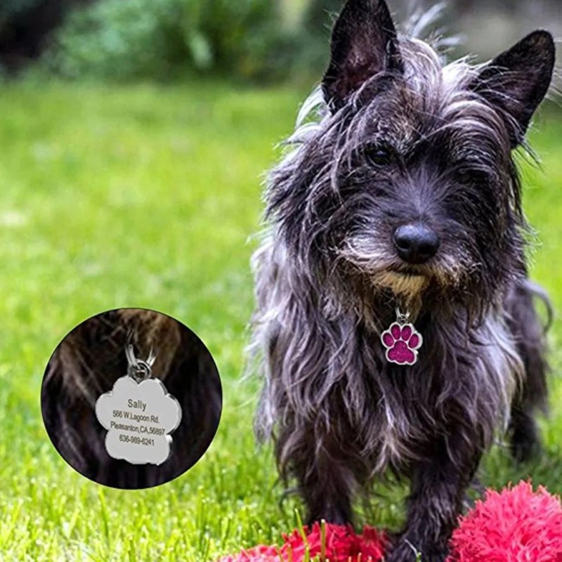 Dog Tag Manufacturer - Custom Identity Paw Tag