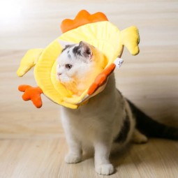 Pet Leash Manufacturer - 5M Retractable Dog Leash