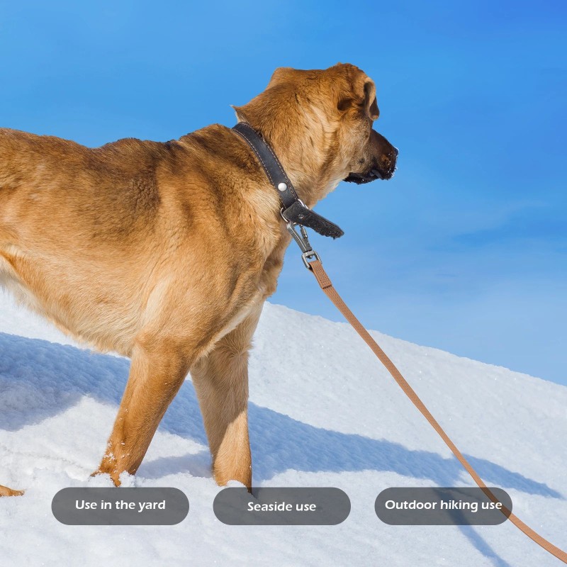 Dog Leash Manufacturer - 1.8-10M PVC Heavy Duty Leash