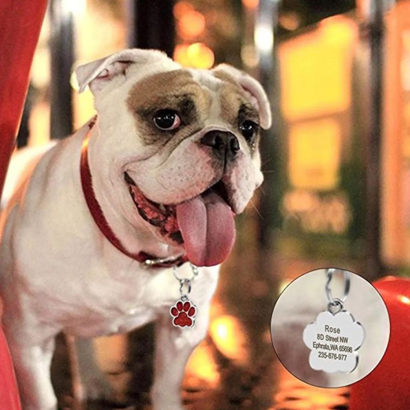 Dog Tag Manufacturer - Custom Identity Paw Tag