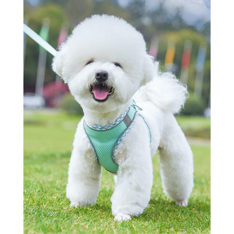 Car Seat Cover Supplier - Waterproof Pet Travel Carrier Mattress Protector