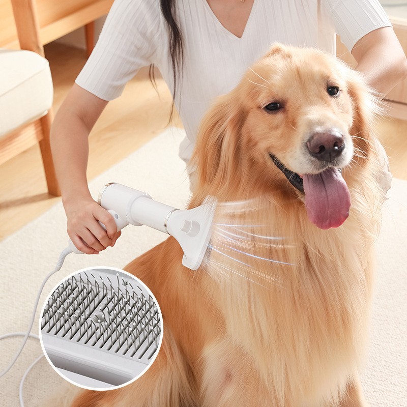 Pet Dryer Manufacturer - High-Speed Heater for Dogs Cats Blowing Tool