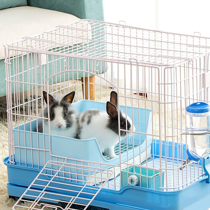 Bird Feeder Factory - Transparent Window Outside Feeder with Suction