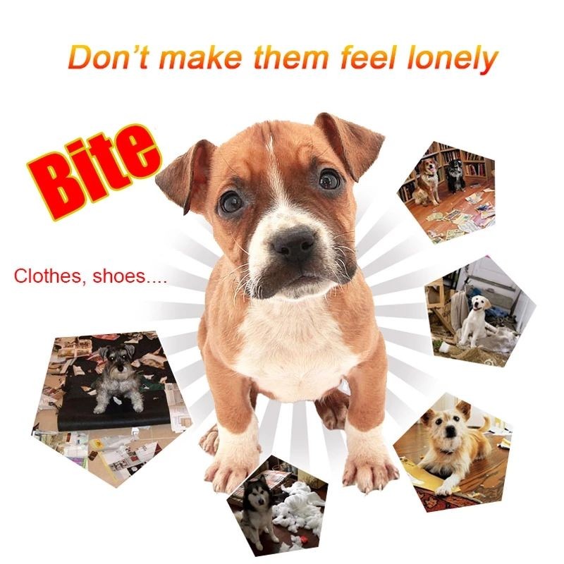 Pet Toy Supplier - TPR Dog Plush Toys Durable Chew Holiday Playing