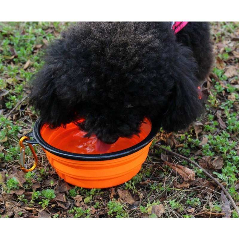 Pet Feeder Factory - Stable Stand Neck Care Water Drinking Bowls