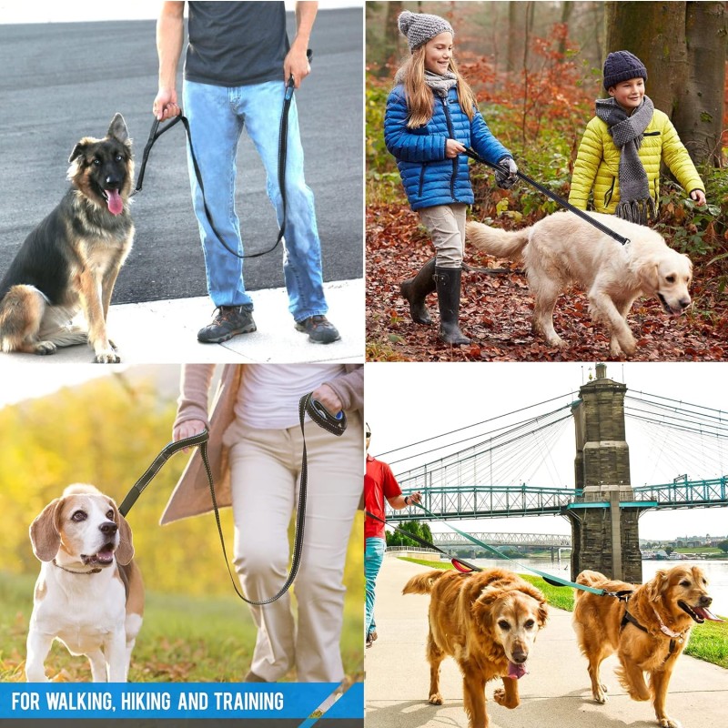 Pet Harness Supplier - No Pull Puppy Easy Walk and Leash Set