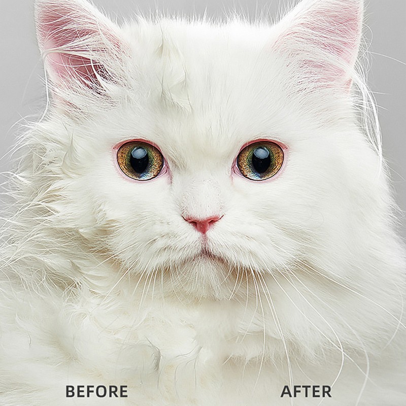 Grooming Tools Factory - Pet Hair Dryer with Comb Brush Gentle Fur