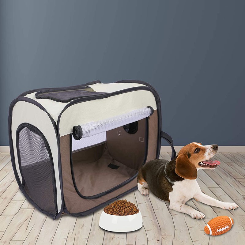 Pet Brush Supplier - 3 in 1 Rechargeable Massage Brush Steamy Comb