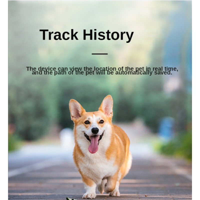 Mini GPS Tracker Supplier - GF07 GSM/GPRS Pet Kids Car Locator