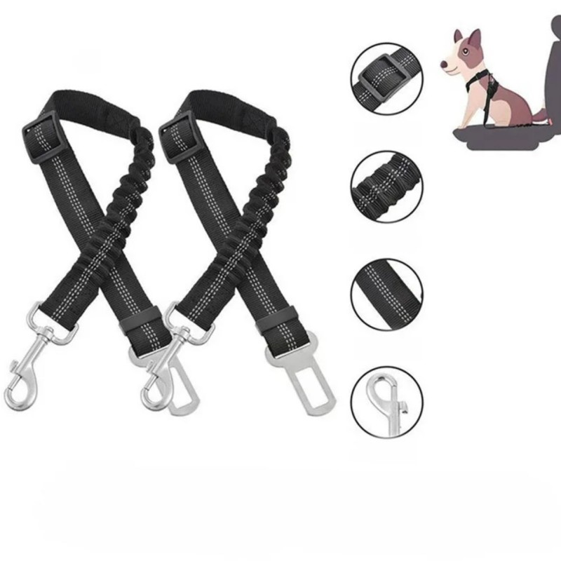 Dog Leash Manufacturer - Retractable with LED Light Walking Outdoor