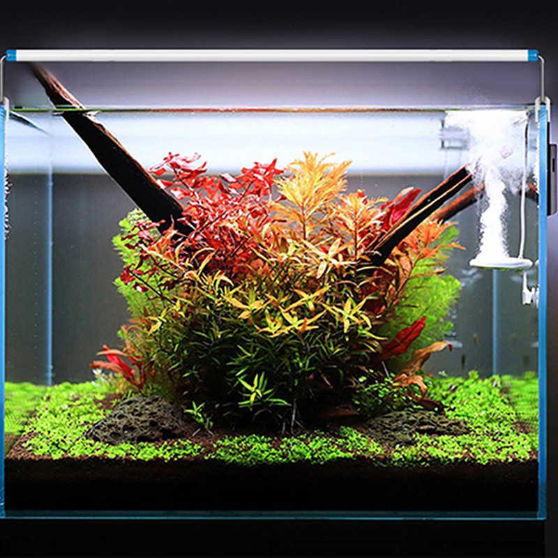 Water Pump Manufacturer - Jebao Q ACQ LCD Display Controllable Return