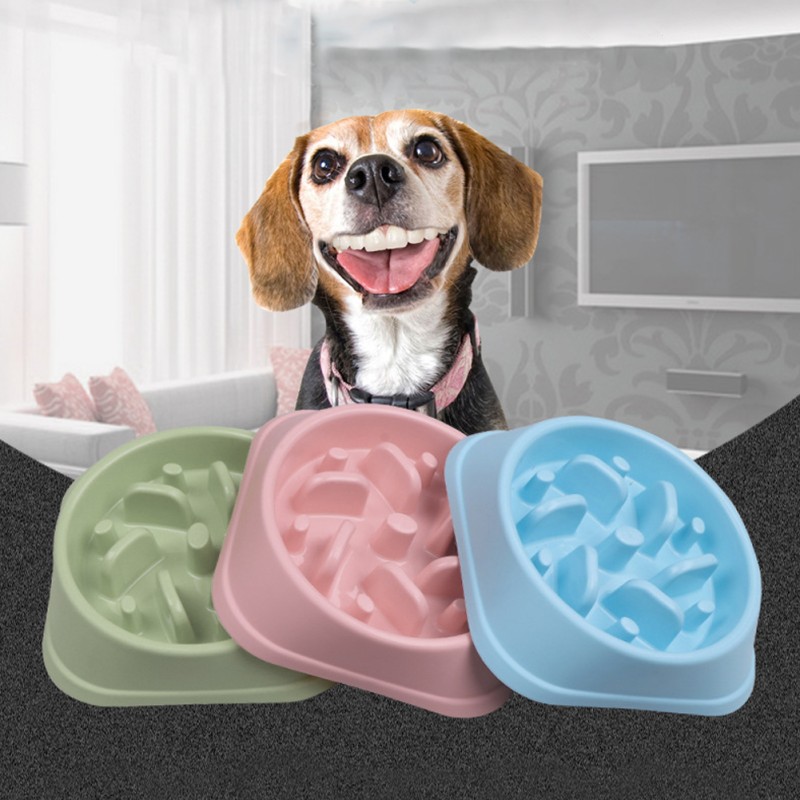 Water Fountain Manufacturer - 2.5L Silent Pump LED Light Automatic