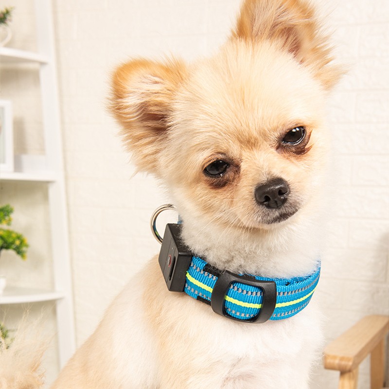 Dog Seat Belt Manufacturer - Adjustable Nylon Lead Backseat Safety Harness