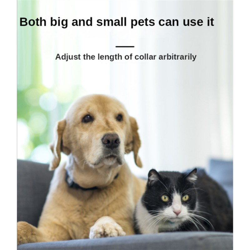 Mini GPS Tracker Supplier - GF07 GSM/GPRS Pet Kids Car Locator