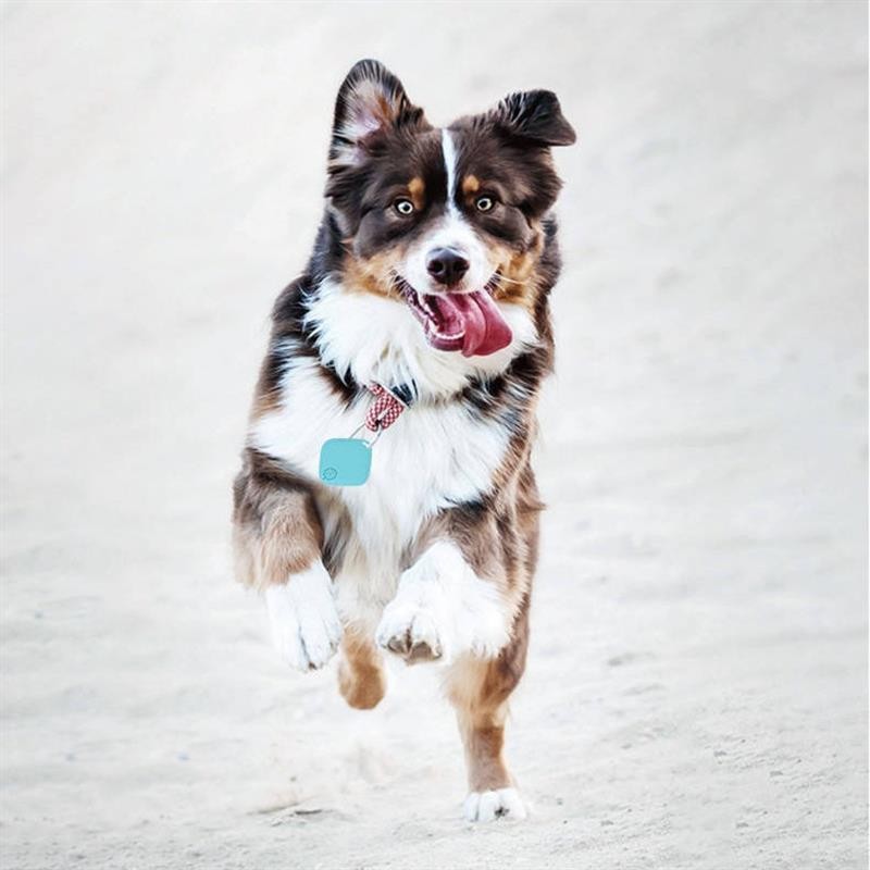 Mini Pet Tracker Manufacturer - Smart Key Finder with Holes Car Locator