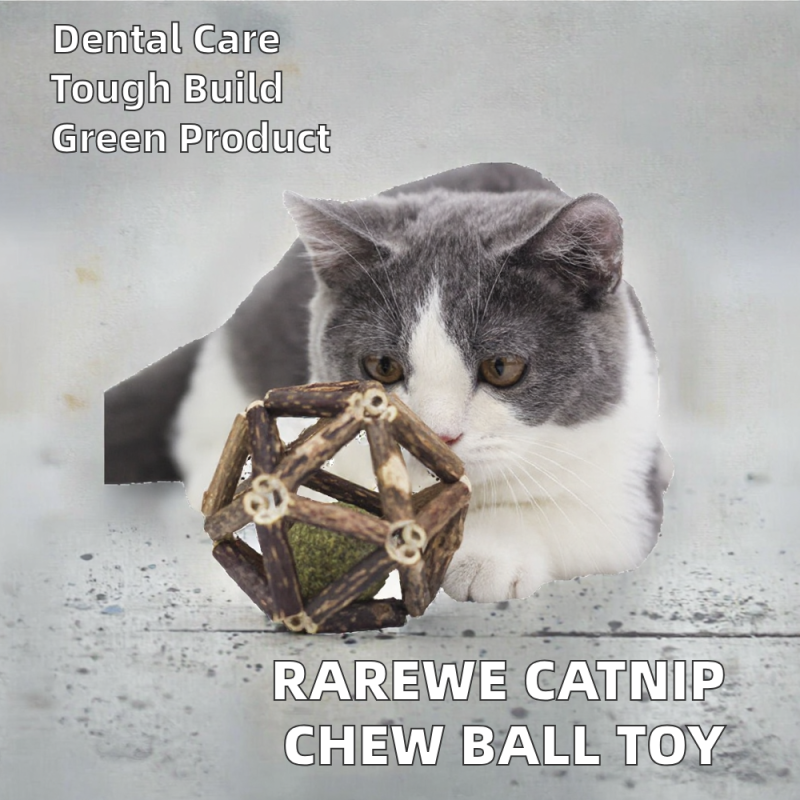 Cat Chew Toy Supplier - Rarewe Eco-Friendly Silvervine Catnip Balls Squeak Bell