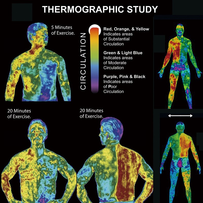 Slimming Cream Manufacturer - Hot Abdominal Cream