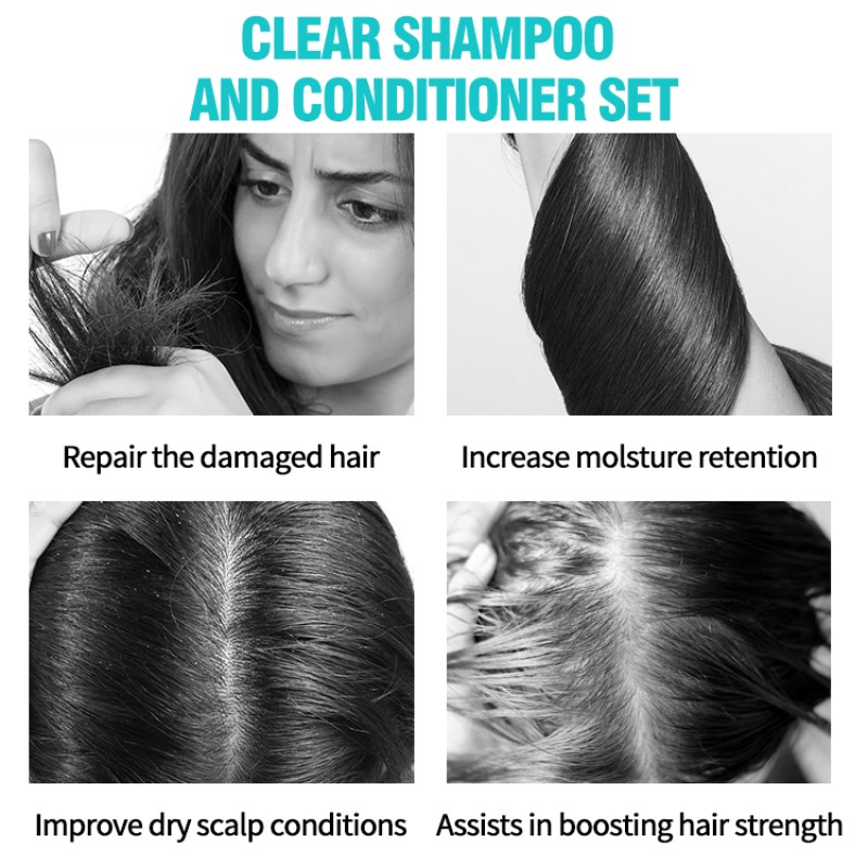 Hair Care Set Factory - Korean Amino Acid Shampoo Set