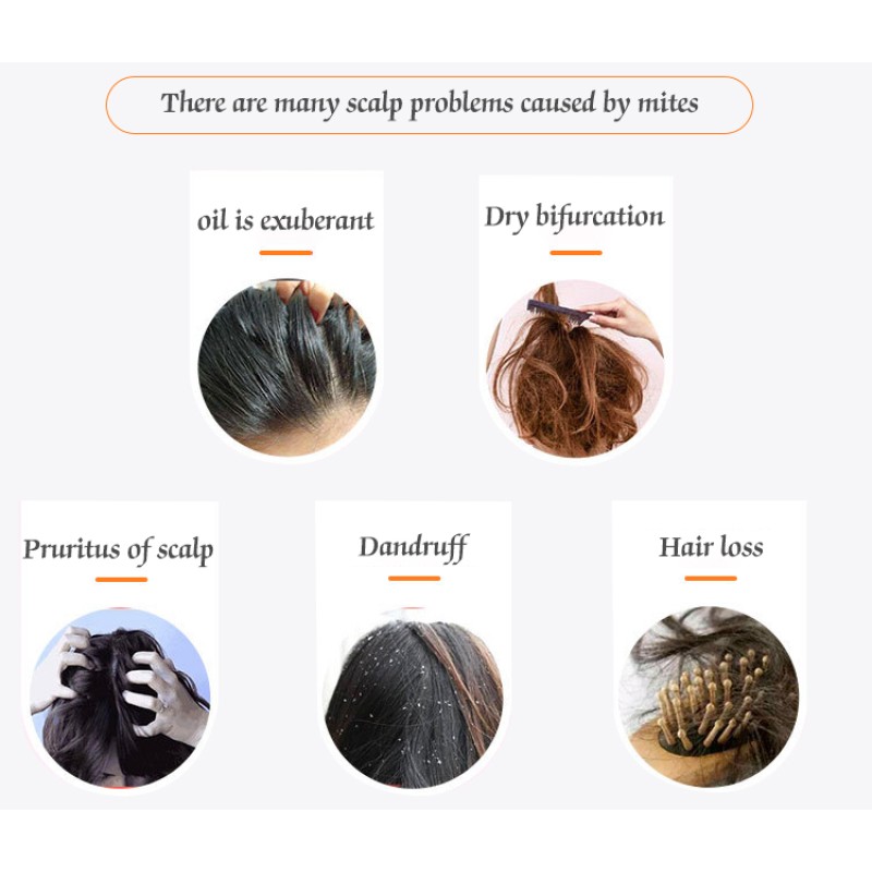 Shampoo Soap Factory - Organic Herbal Aluminum Box Soap