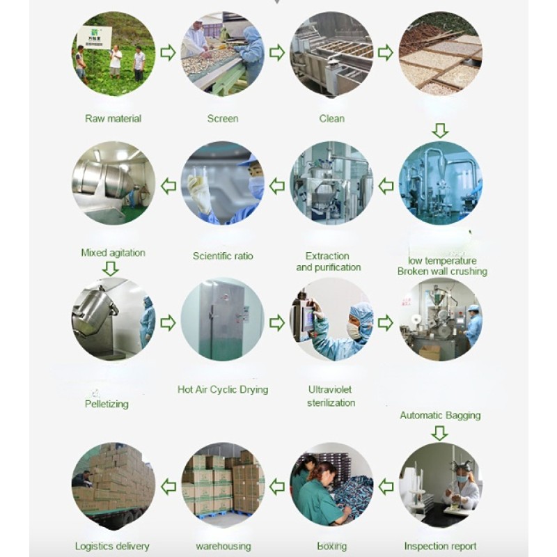 Weight Loss Tea Factory - Own Brand Flat Belly Organic Fat Removal Low MOQ