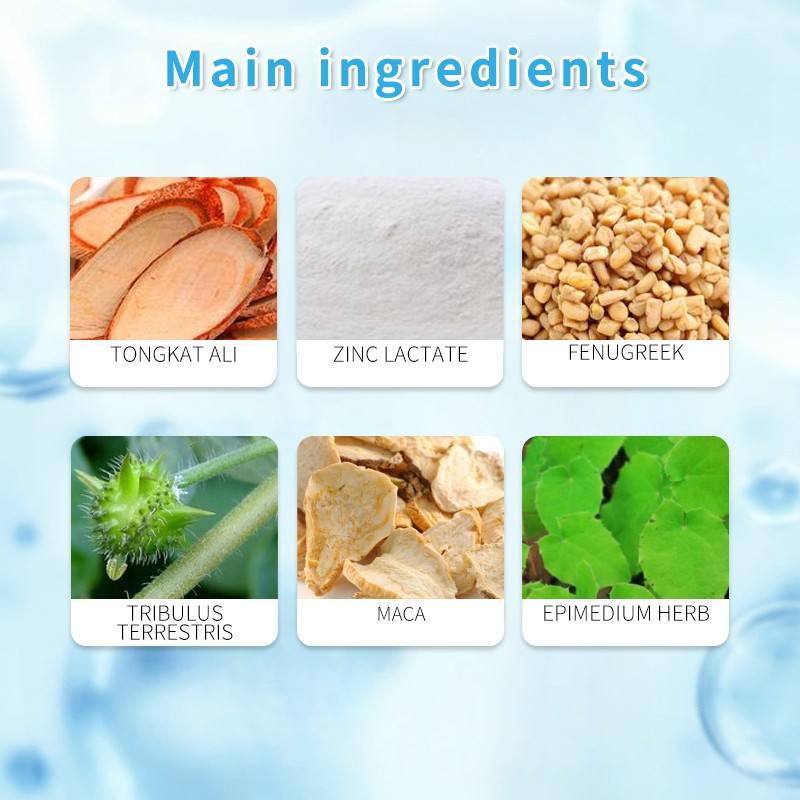 Tongkat Ali Sport Nutrition Capsules Enhance Male Endurance Vitality and Libido