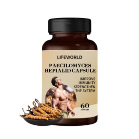 Natural Organic Maca Fertility Capsules for Men Manufacturer to Support Sperm Health