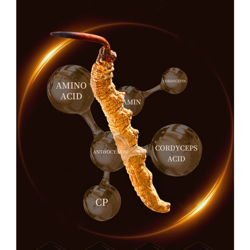 Natural Organic Maca Fertility Capsules for Men Manufacturer to Support Sperm Health