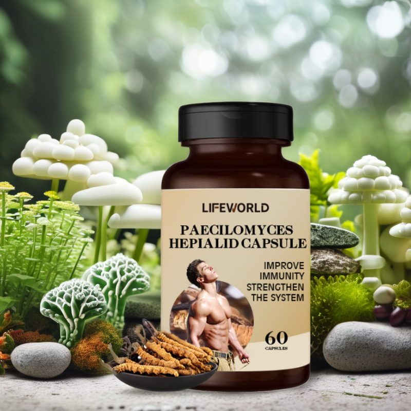 Natural Organic Maca Fertility Capsules for Men Manufacturer to Support Sperm Health