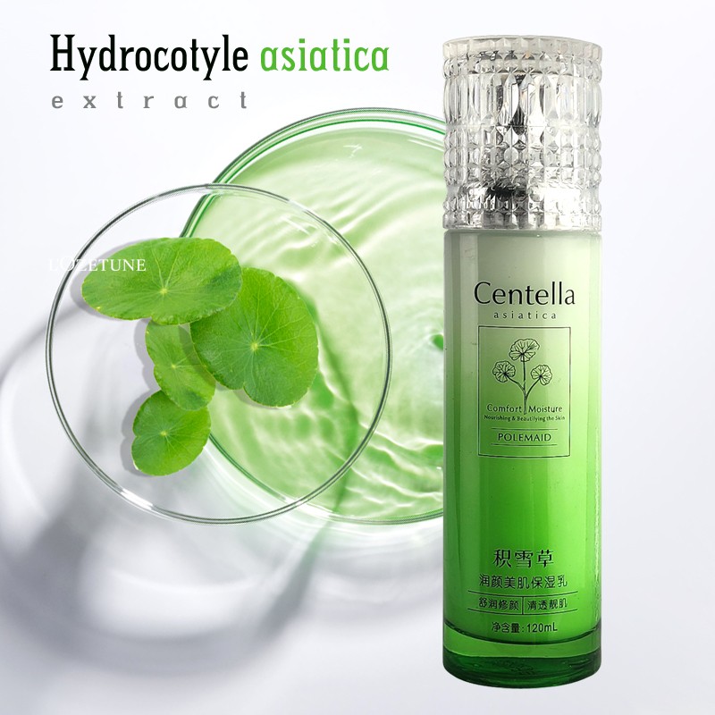 Face Cream Manufacturer - Customized Centella Moisturizer