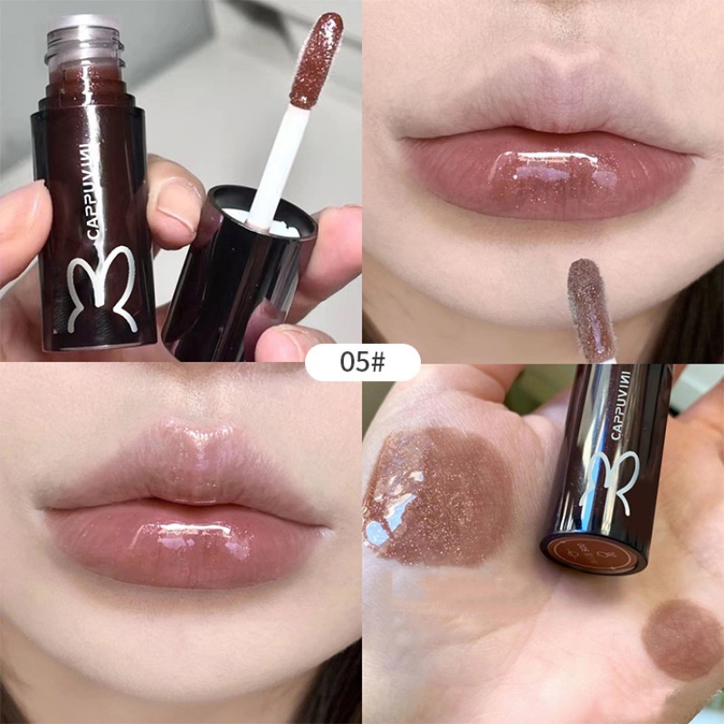 Plumping Lip Oil Factory - Cappuvini Hot Selling Moisturizing Velvet 2023 New OEM