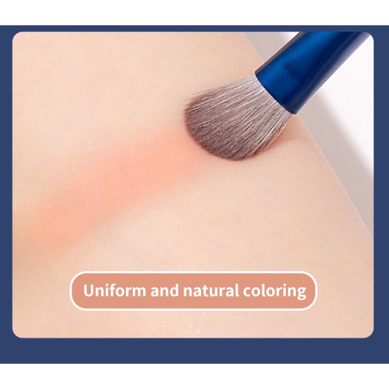 Makeup Brushes Set Supplier - RKG Starry Dot Portable 12 Pieces Soft Dense Hair Wholesale